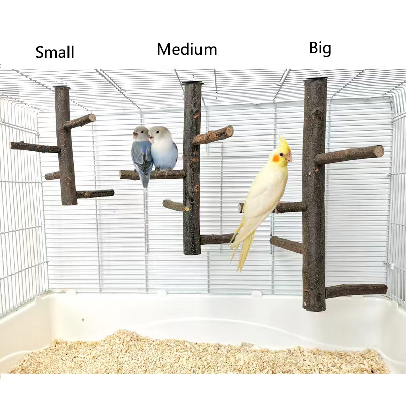 1 個天然リンゴの木の木の鳥の枝スタンド止まり木ペットインコ - Desk Setup Apple のレビューと価格