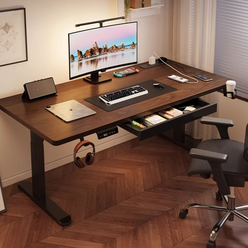 モダンな鉄製デュアルモーター電動スタンディングデスク、高さ調 - Setup Desk Monitor のレビューと価格